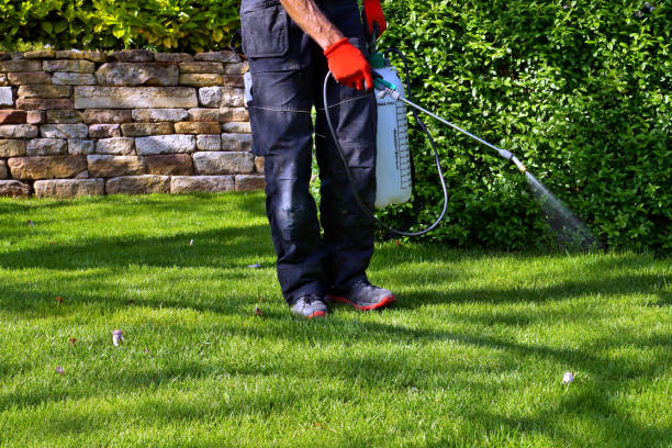  Teutopolis, IL Pest Control Pros